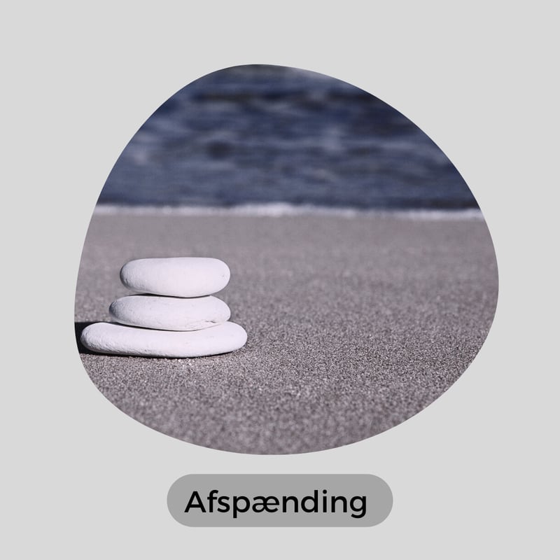 Book afspændingshold
